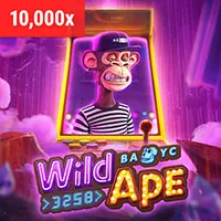 Mục đích sử dụng cookie tại win55 conm