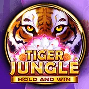 Các trò chơi Game Show trực tiếp tại win55 conm