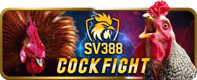 Hình ảnh minh họa người dùng đang quản lý quyền riêng tư và dữ liệu của mình trên win55 conm